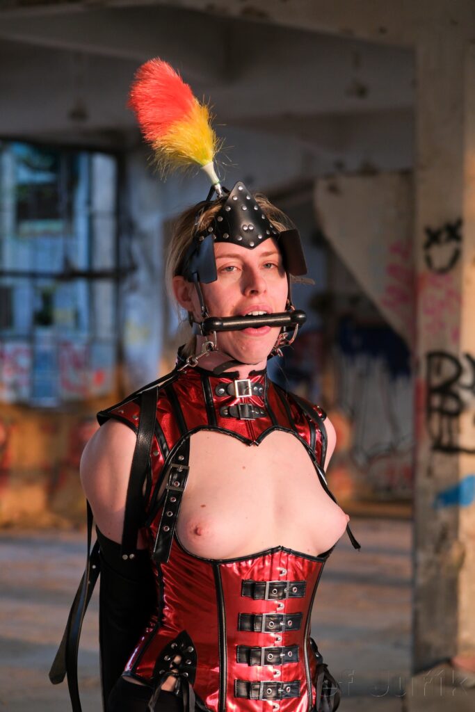 ponyplay, ponygirl, petplay, bdsm