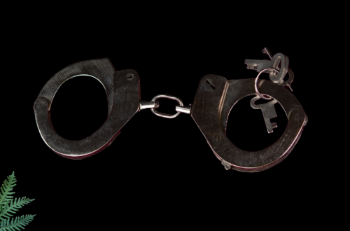 Pouta, bdsm, bondáž, bondage,