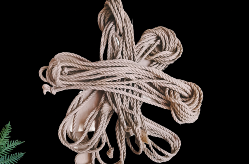 Provaz, svazování, bondáž, bondage, bdsm